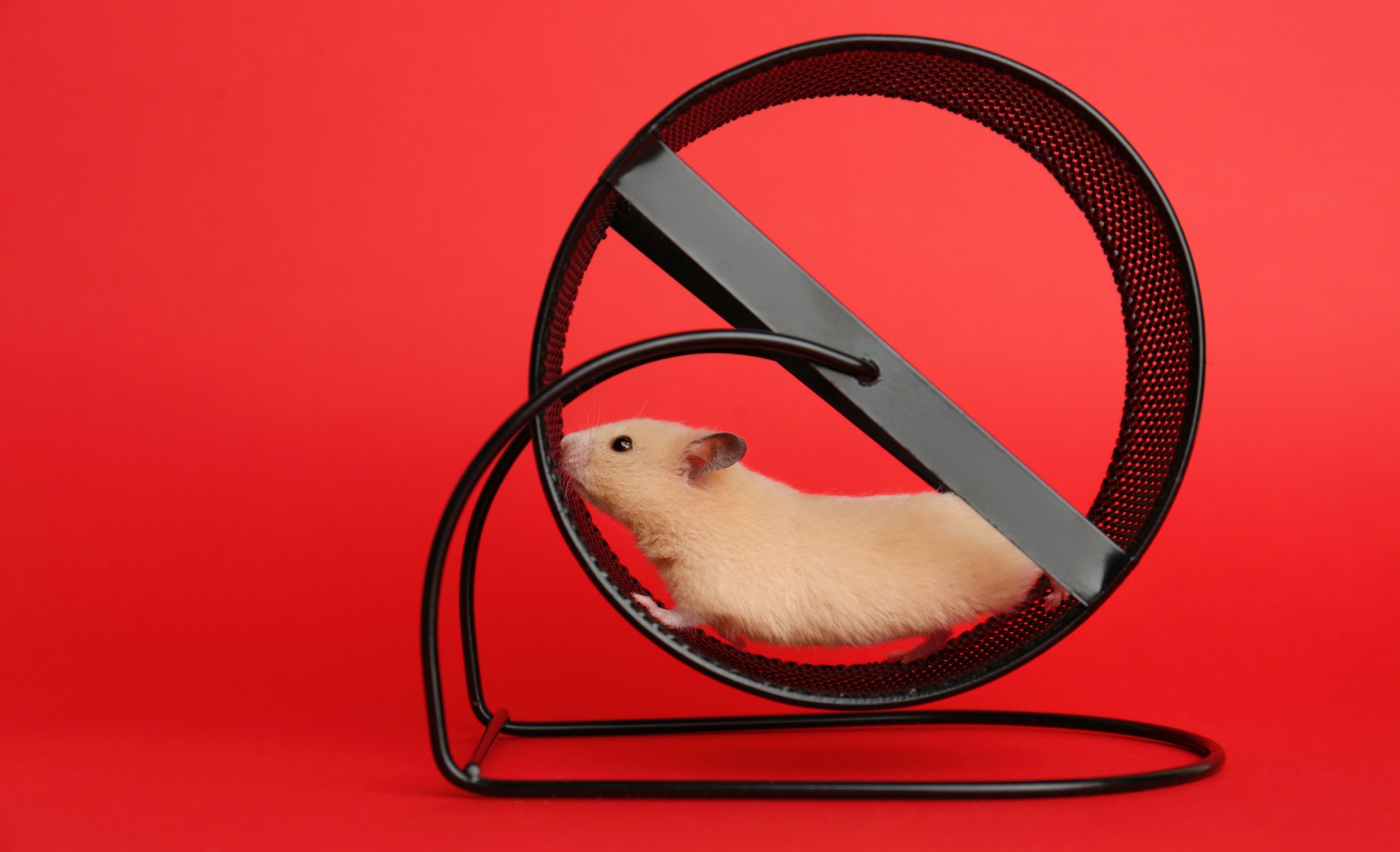 Neu-Ausschreiben oder Vertrags-Upgrade?